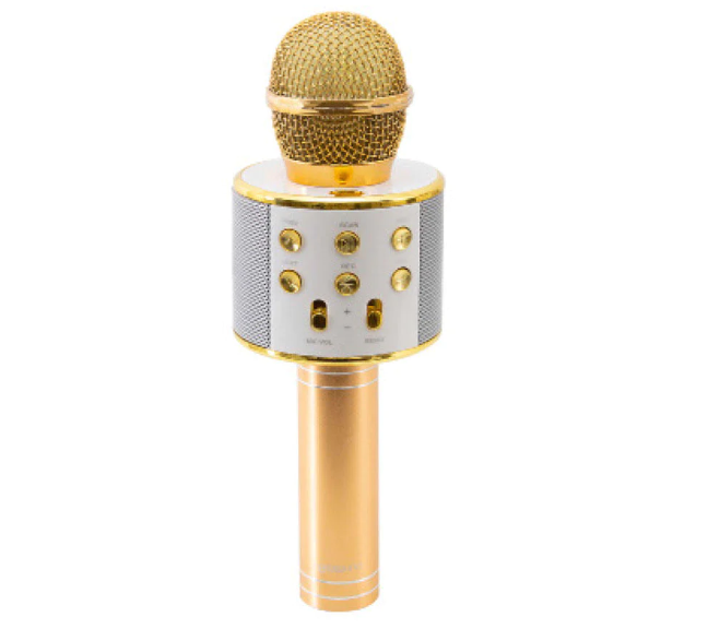 Micrófono karaoke Prosound MK003