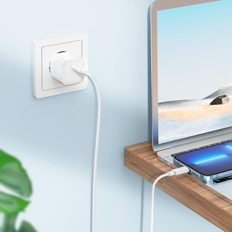 Cable de Carga  USB-C Lightning Hoco X88