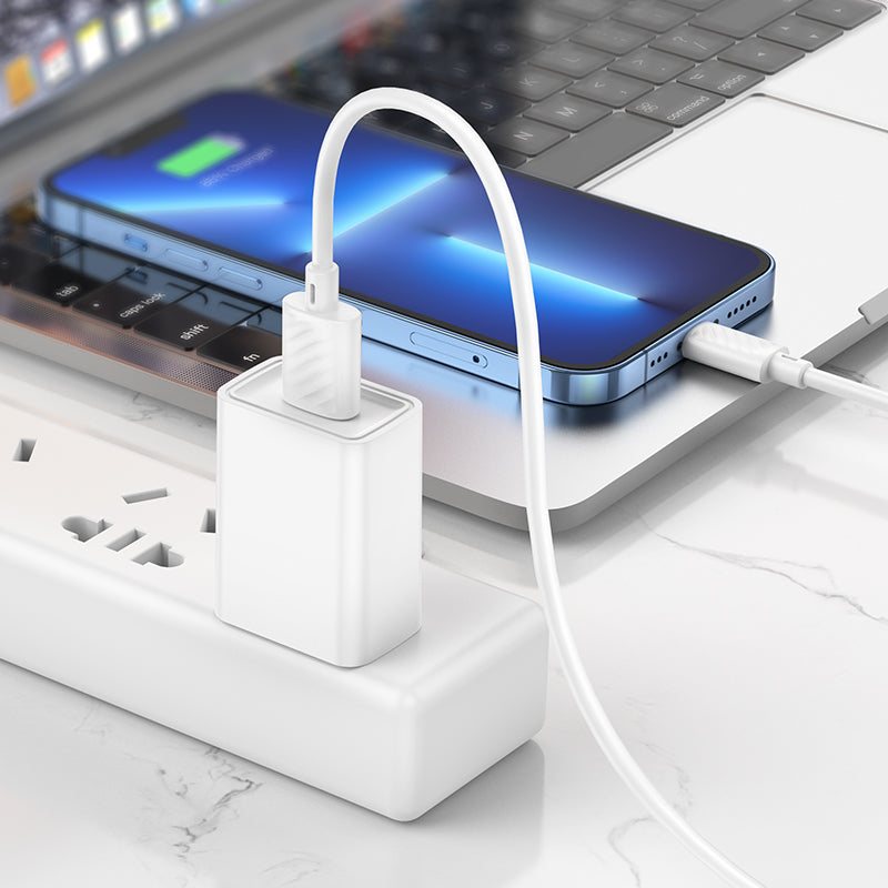 Cable de carga USB 2M LIGHTNING  3.0A Hoco X88