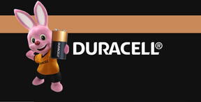 Pack de Pila 2 unidades alcalina Duracell  AA 1.5V