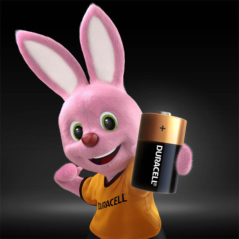 Pila Alcalina  D2 Duracell